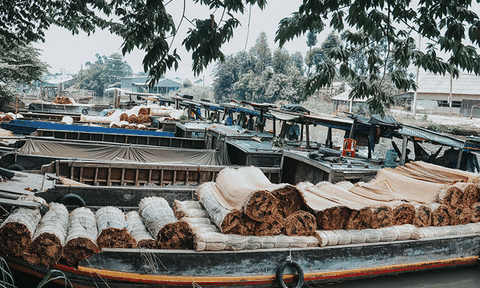 Những người thợ cuối cùng làng chiếu Tân Thành