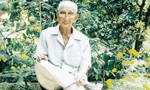 Tết về theo bạn thương hồ