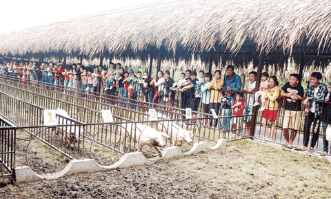 Du lịch Cần Thơ nhiều kỳ vọng trong năm mới 2019