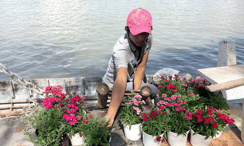 Màu của tháng Chạp