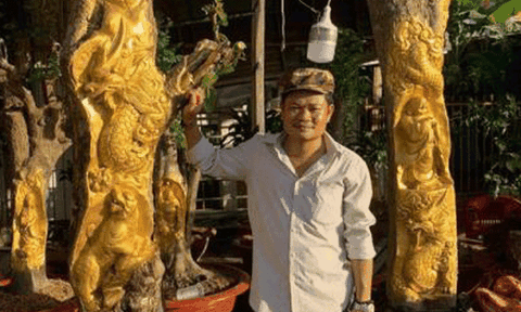 Chơi ngông dát vàng lên cây đang sống: "Không ai làm thế"