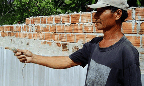 Con Dông ở Thuận Hải