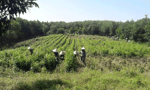 Đổi thay trên vùng đất biên giới Thanh Đức