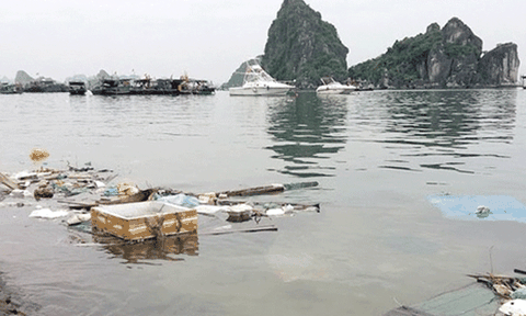 “Nhìn Hội An, Hạ Long là thấy thách thức của di sản Việt Nam”