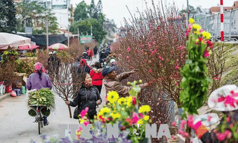 Hà Nội những ngày sang Xuân