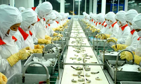 ĐBSCL: Ưu tiên nguồn vốn sản xuất nông sản xuất khẩu