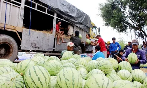 Quả dưa hấu phải đội bao nhiêu thứ phụ phí?