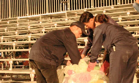 Kết thúc lễ khai mạc Festival nghề truyền thống Huế: Vẫn còn đó những băn khoăn!