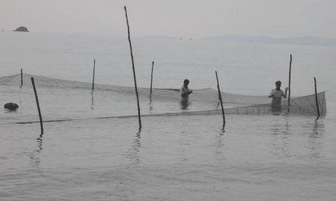 Kiên Giang: Gần 600 tỷ đồng xây dựng các công trình thủy lợi