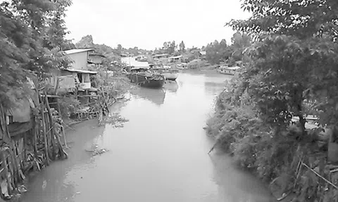 Kỳ lạ ngôi làng ở miền Tây giàu lên nhờ buôn bán... phân