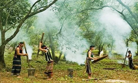 Thăm lại sóc BomBo