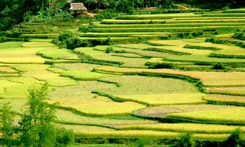 Xã Điền Quang: Đột phá quan trọng trong phát triển kinh tế - xã hội