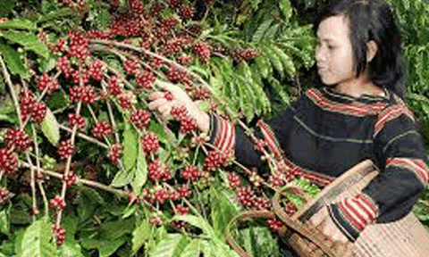 Kon Tum giàu tiềm năng nhưng “đói” vốn đầu tư để phát triển