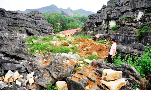 Thấy nhiều dấu tích, hiện vật cổ, quý tại vùng đệm thành nhà Hồ