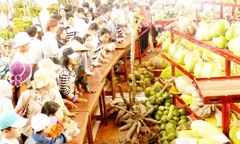 Sẵn sàng cho Lễ hội cây - trái ngon, an toàn huyện Chợ Lách, tỉnh Bến Tre lần thứ XV