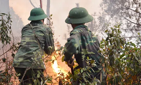  Nghệ An: Nắng nóng dẫn đến cháy rừng 