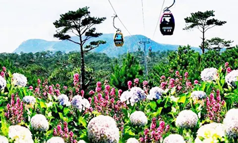 Đà Lạt - thành phố Festival Hoa Việt Nam