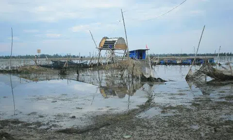 Thừa Thiên Huế: Tôm chết hàng loạt, nông dân thiệt hại hàng trăm triệu đồng