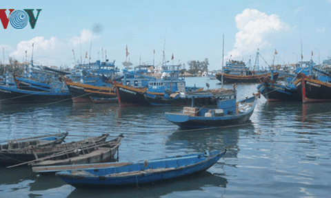 Khủng hoảng lao động nghề biển ở Bình Thuận