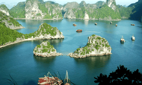 Quản lý di sản bằng gì?