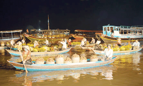 Tổ chức "Tuần lễ du lịch xanh ĐBSCL năm 2015"