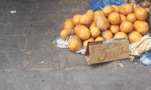  Nhà vườn khóc ròng vì đu đủ chẳng ai mua 