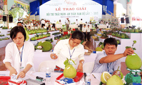 Tiền Giang đoạt 17 giải thưởng ở Hội thi Trái cây ngon-an toàn Nam bộ
