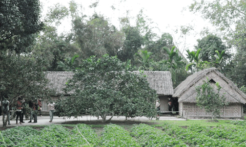 Trở lại Kim Liên