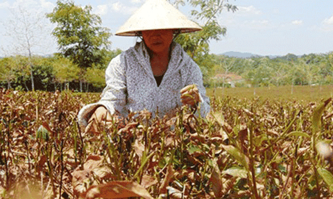 Hà Tĩnh: 4 vạn dân Hương Khê khát