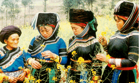 Thực hiện Đề án phát triển kinh tế - xã hội vùng dân tộc Cờ Lao trên địa bàn tỉnh Hà Giang