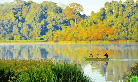 Lập hồ sơ đề cử Vườn Quốc gia Cát Tiên trình UNESCO công nhận là Di sản thế giới  