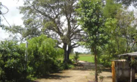 Hải Phòng: Chuyện khó tin ở… Miếu Ông