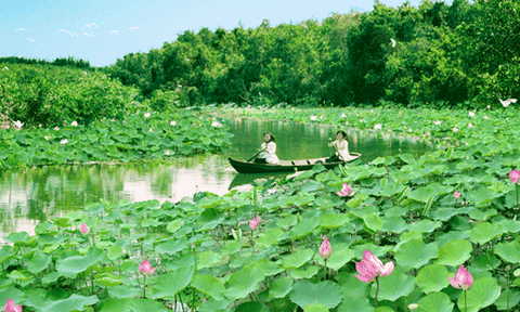 Tăng cường quản lý môi trường du lịch tỉnh Đồng Tháp