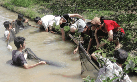 An Giang: Phát triển du lịch miệt vườn, sông nước cù lao