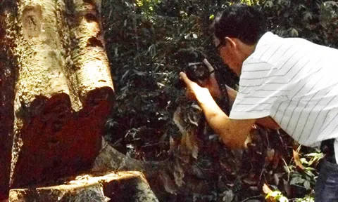 Chuyện buồn ở Kbang