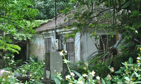 Nhà rường cổ trên 100 năm tuổi ở TT Huế kêu cứu!