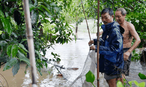 Mưa lũ ở Quảng Ninh: Dành dụm nhiều năm, trắng tay vài giờ