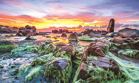 Hành hương Bình Thuận