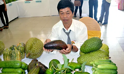 Thu tiền tỉ nhờ trồng bơ booth "khủng"