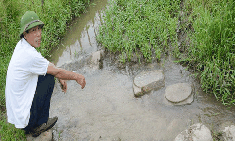 Quảng Ninh: Cần phục dựng chùa cổ Vạn Yên