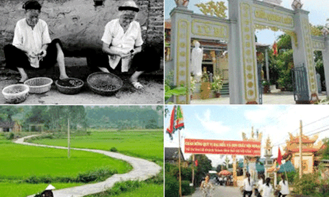 Loanh quanh trong vũng ao làng