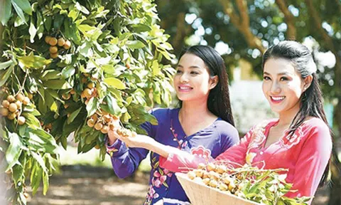 Một vòng Bạc Liêu