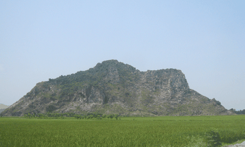 Tiếp bài “Lèn Hai Vai, một danh thắng Xứ Nghệ đang dần bị mai một”: Trăn trở với công tác bảo tồn