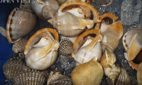 Ra Phú Quốc, khám phá những đặc sản từ sò, ốc...