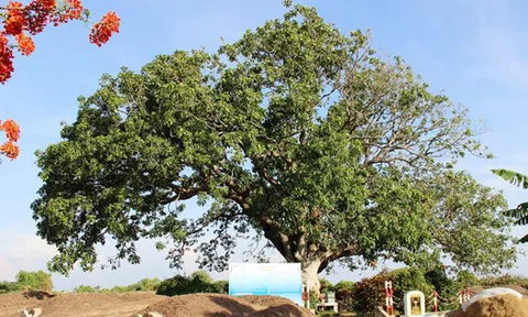 Một ngày ở Bạc Liêu