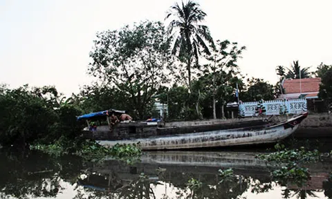 Những hoạt động sinh thái nhất định phải thử ở cù lao An Bình