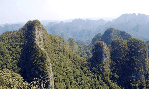 Đa dạng sinh học mang tính toàn cầu ở Vườn quốc gia Phong Nha – Kẻ Bàng