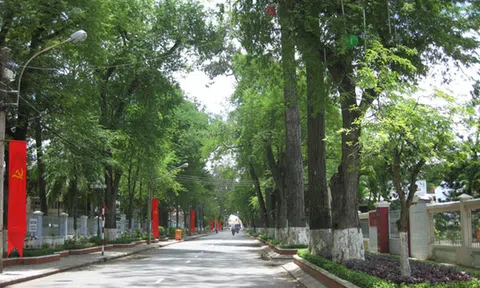 Về Trà Vinh, dạo chơi giữa "rừng cây cổ thụ"