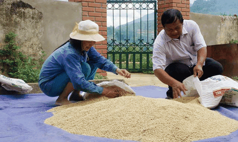 Cái “duyên” giảm nghèo của thủ lĩnh nông dân