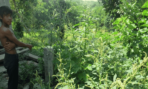 Huyện A Lưới, TT Huế: Dự án thì “treo", người dân thì mòn mỏi chờ nước sạch 